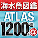 アクアリウムの海水魚図鑑 ATLAS 1200種+α