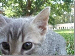 blog header