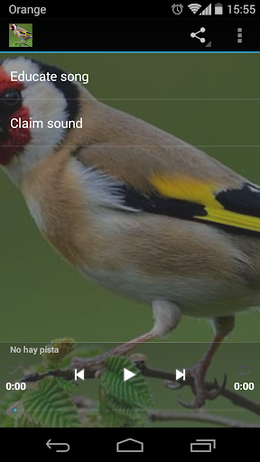 Goldfinch song