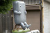 IMGP5440.jpg
