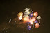 IMGP7361.jpg