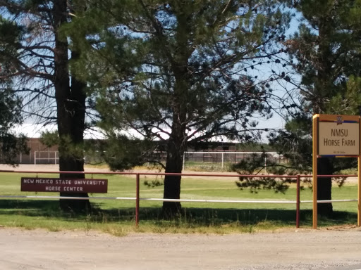NMSU Horse Farm