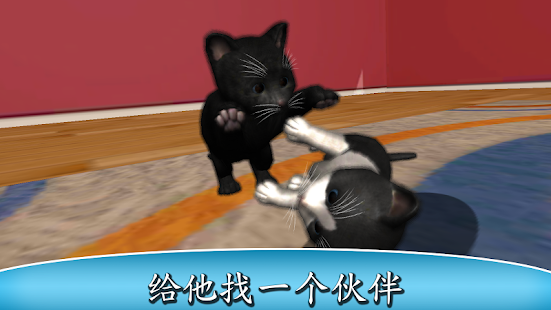 Daily Kitten : 虚拟宠物猫小猫动物(圖5)-速報App