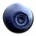 Top Ten Super Foods Rev A logo