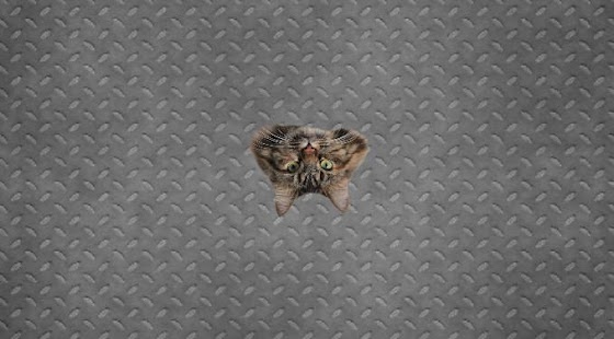 How to mod Cat Box 1.0 apk for pc
