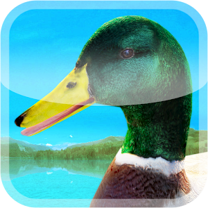 Ducks 3D Live Wallpaper FULL logo
