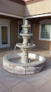 Water Fountain with Vines