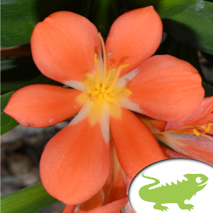 Botanischer Garten Graz 2.01