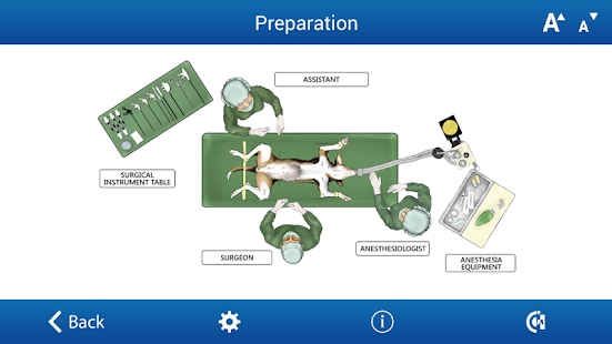 Ovariectomy in Dogs (Free)(圖5)-速報App