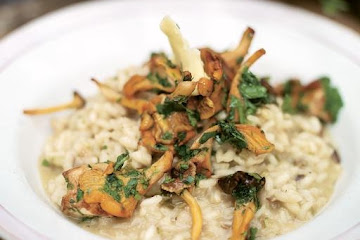 Grilled mushroom risotto