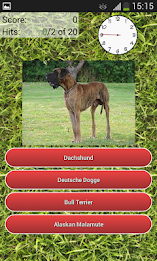 クイズ犬の品種 poster 9