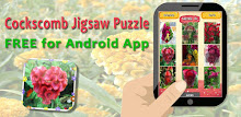 Cockscomb Jigsaw Puzzles APK