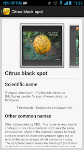 Citrus Diseases Key(圖4)-速報App