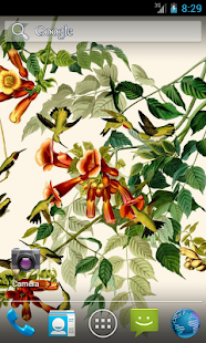 Android application Audubons Hummingbirds Live WP screenshot