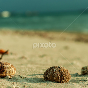 bali by Eri van Purusha - Artistic Objects Other Objects