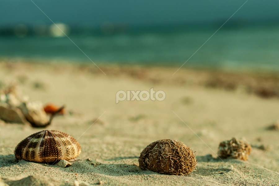 bali by Eri van Purusha - Artistic Objects Other Objects