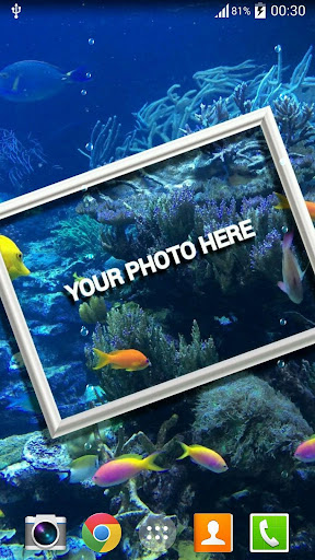 Photo In Water Live Wallpaper