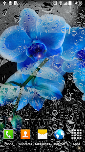 Flower Live Wallpaper(圖3)-速報App