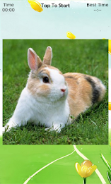 Bunny Puzzle poster 1