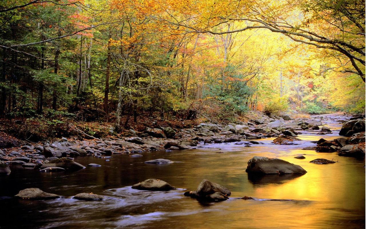 Uncategorized Jigsaw Puzzles Online Free national park jigsaw puzzles android apps on google play screenshot