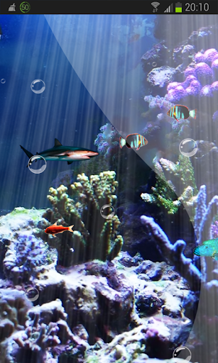 Reef Fish Crazy Tank HD