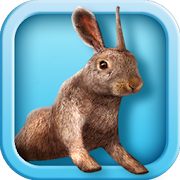 Bunny Simulator 1.0.2 Icon