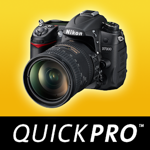 Guide to Nikon D7000 Beyond logo