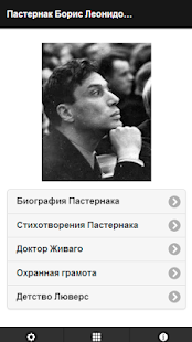 Free Download Пастернак Б.Л. Pro APK
