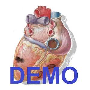 Sonidos Cardiacos Demostración 醫療 App LOGO-APP開箱王