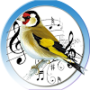 Goldfinch Trainer icon