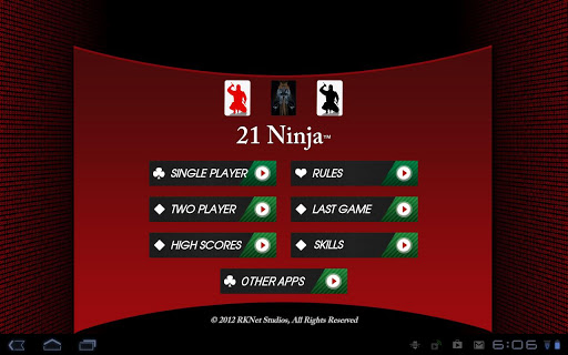 21 Ninja