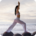 A Passion for Pilates logo