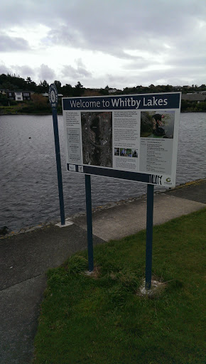 Whitby Lakes