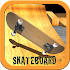 Skateboard Free4.2