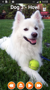Dog Sounds Ringtones(圖2)-速報App