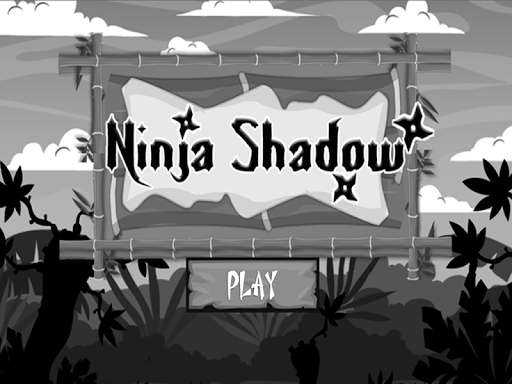 Ninja Shadow