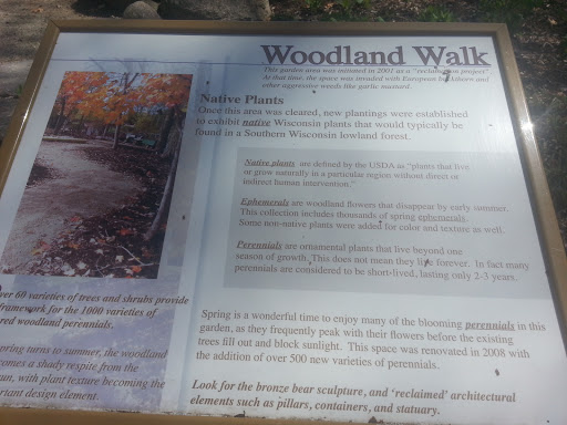 Woodland Walk Garden
