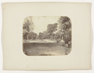 Het stadspark van Surabaya