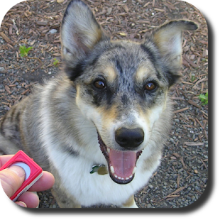 How to install Dog Whistle Trainer High Pitch 1.9 unlimited apk for android