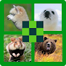 Guess the Animal 100 Pics Quiz Game icon