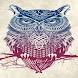 Owls Wallpapers