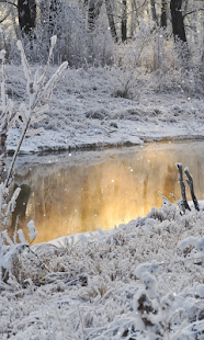 Winter Wallpaper(圖4)-速報App