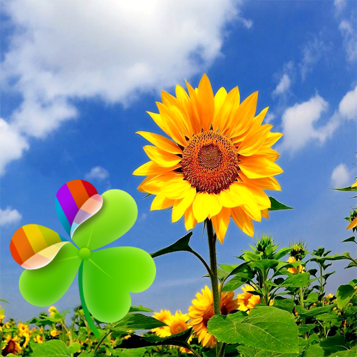 Go Launcher nature flowers 1 個人化 App LOGO-APP開箱王