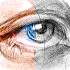 Sketch Me! - Sketch & Cartoon1.85