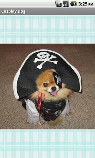 Cosplay Dog