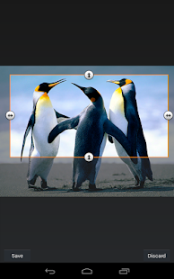 How to install Wallpaper Rotate 1.0.34 mod apk for laptop