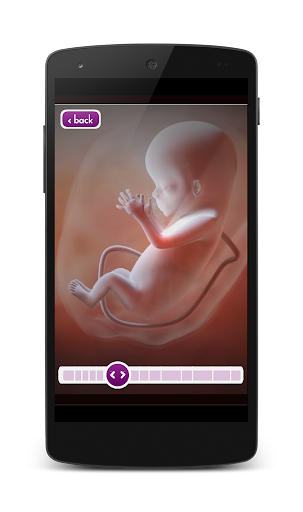 【免費教育App】Pregnancy and Breathing-APP點子