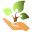Tree Care Download on Windows