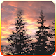 Sunset live wallpaper by iim mobile APK