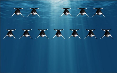 How to install 3D Humpback Whale Song Piano patch 1.0 apk for laptop
